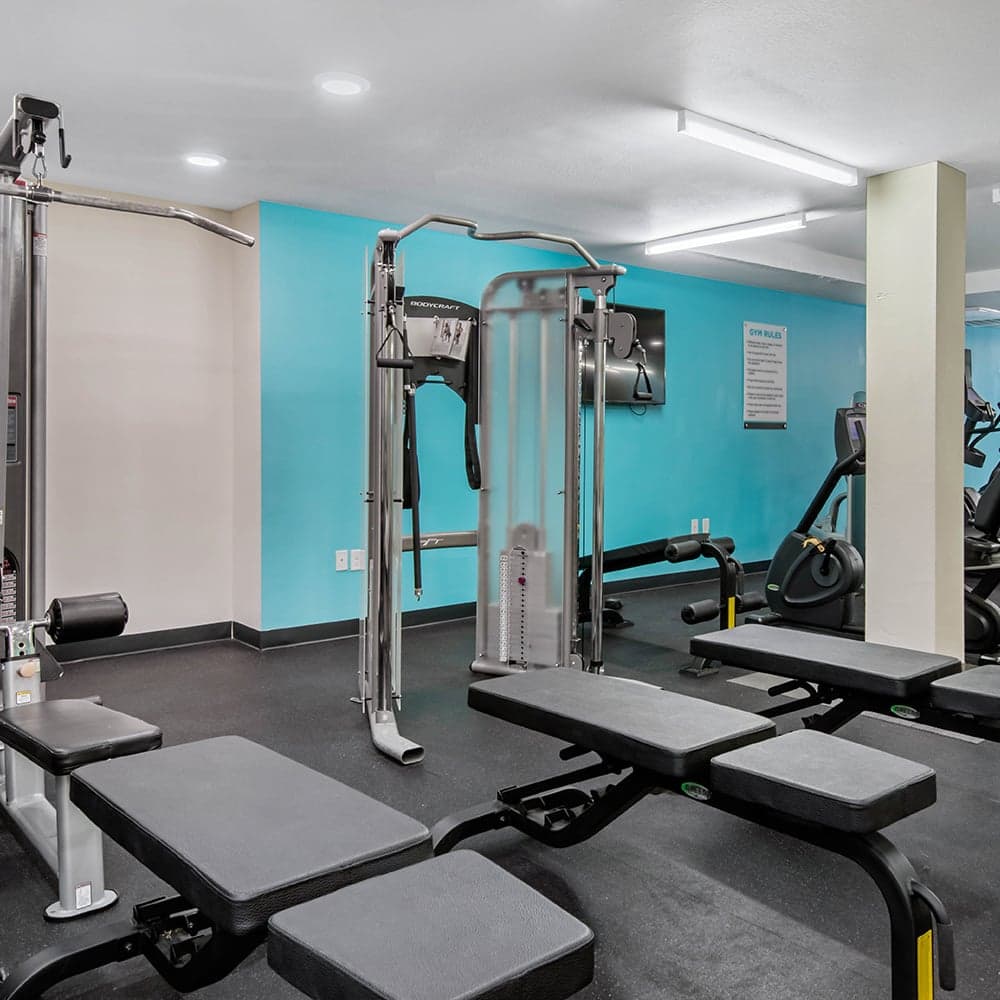 Fitness-Center-02-Social-28-Gainesville