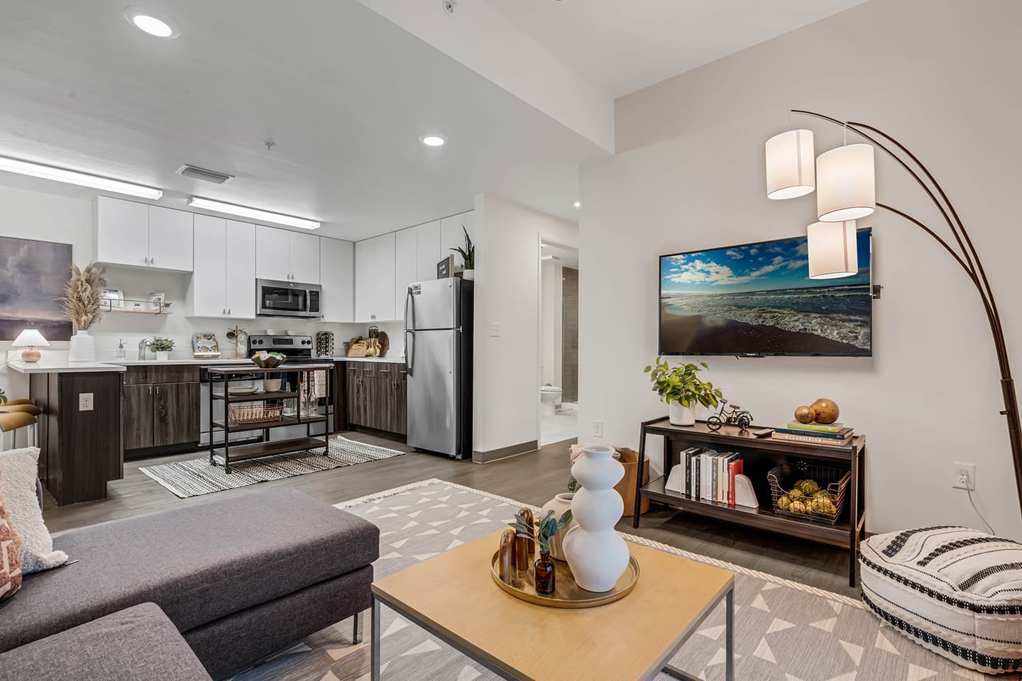 Living-Room-03-Social-28-Gainsville-FL